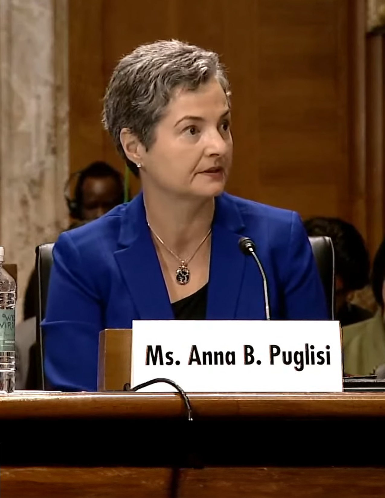 CSET's Anna Puglisi speaking at a senate hearing