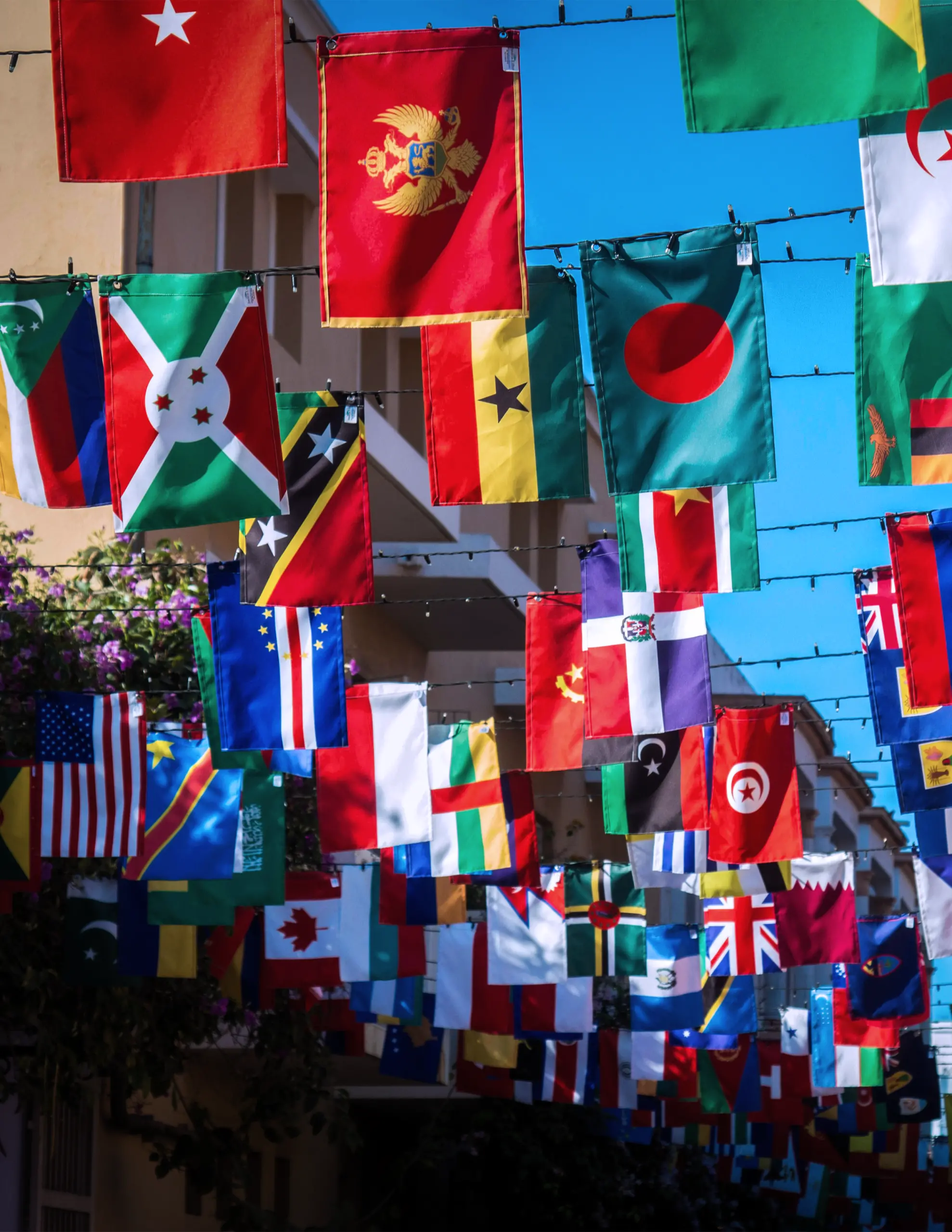Image of various flags from countries around the world.