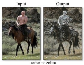 An image with two pictures. One on the left of Vladimir Putin on a horse with the heading "input." One on the right with Vladimir Putin covered in zebra stripes sitting on a zebra under the heading "output."